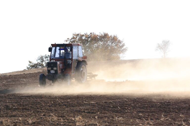 Essential Guide to Buying Tractor Parts Online