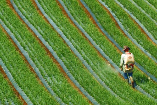 crop insurance