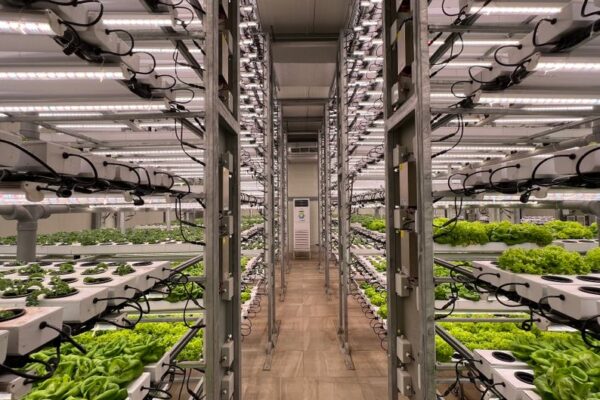vertical farming technology