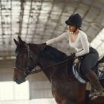 horse riding lessons