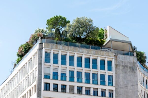 sustainable architecture firm