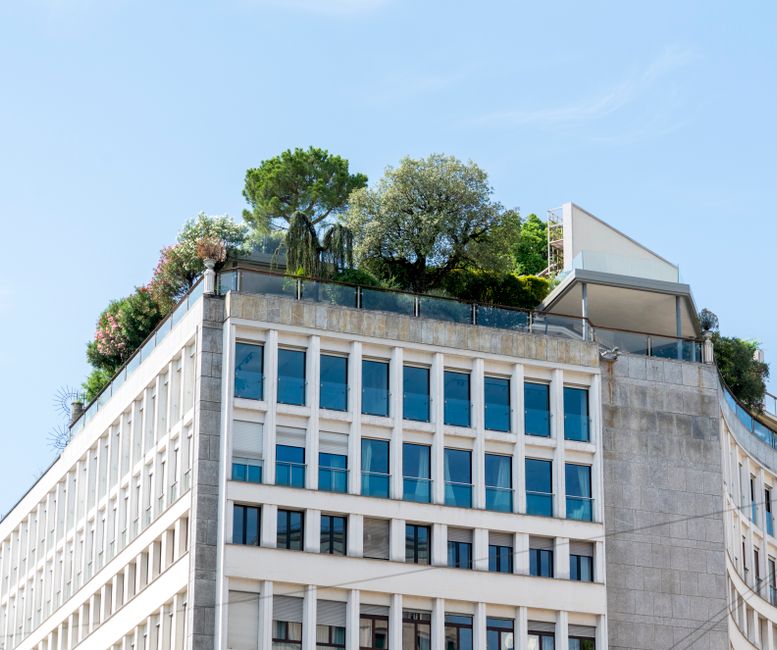 sustainable architecture firm